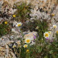 Ostertanzreise Rhodos 2017
