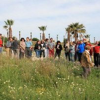 Ostertanzreise Rhodos 2017