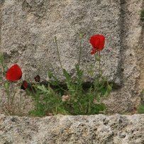 Ostertanzreise Rhodos 2017