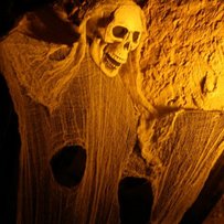 Halloween 2018