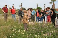 Ostertanzreise Rhodos 2017