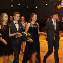 Sommerball 2017
