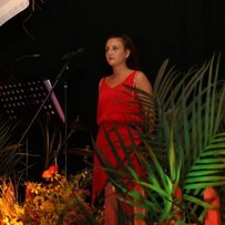 Sommerball 2017