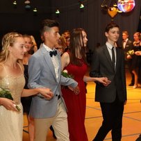 Sommerball 2017