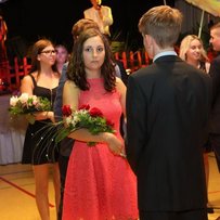 Sommerball 2017