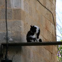 Ostertanzreise Rhodos 2017