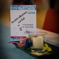 Frühlingsbälle 2022
