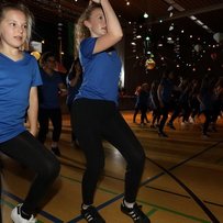 Sommerball 2017