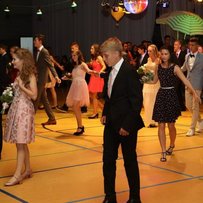 Sommerball 2017